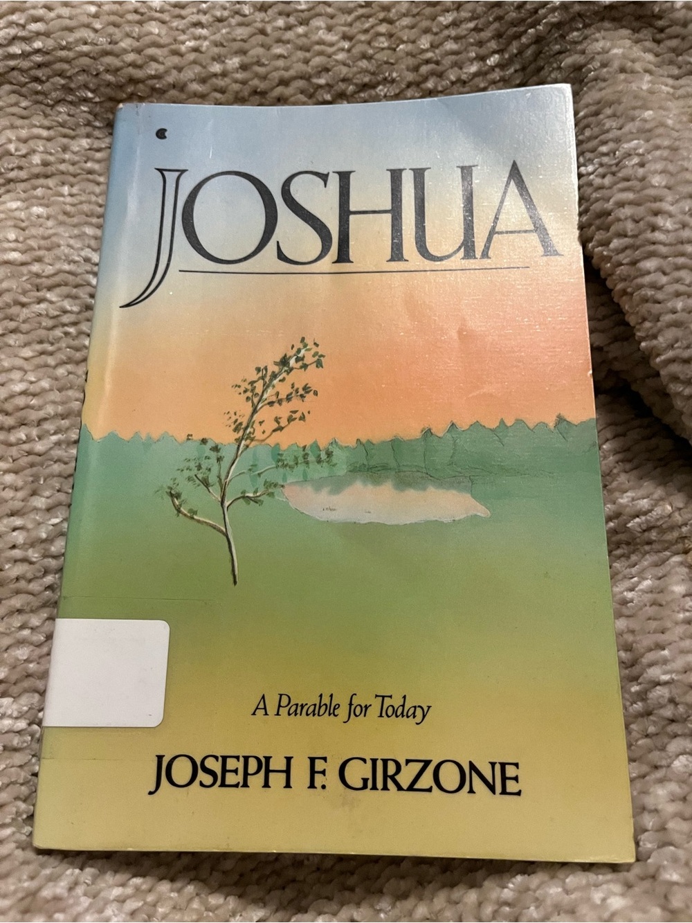 Joshua Paperback Book by Joseph F. Girzone